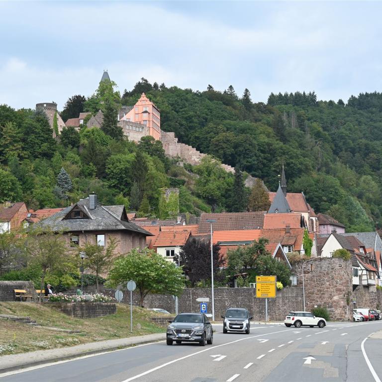 2022-08-31 Heidelberg Tagesausflug (89)