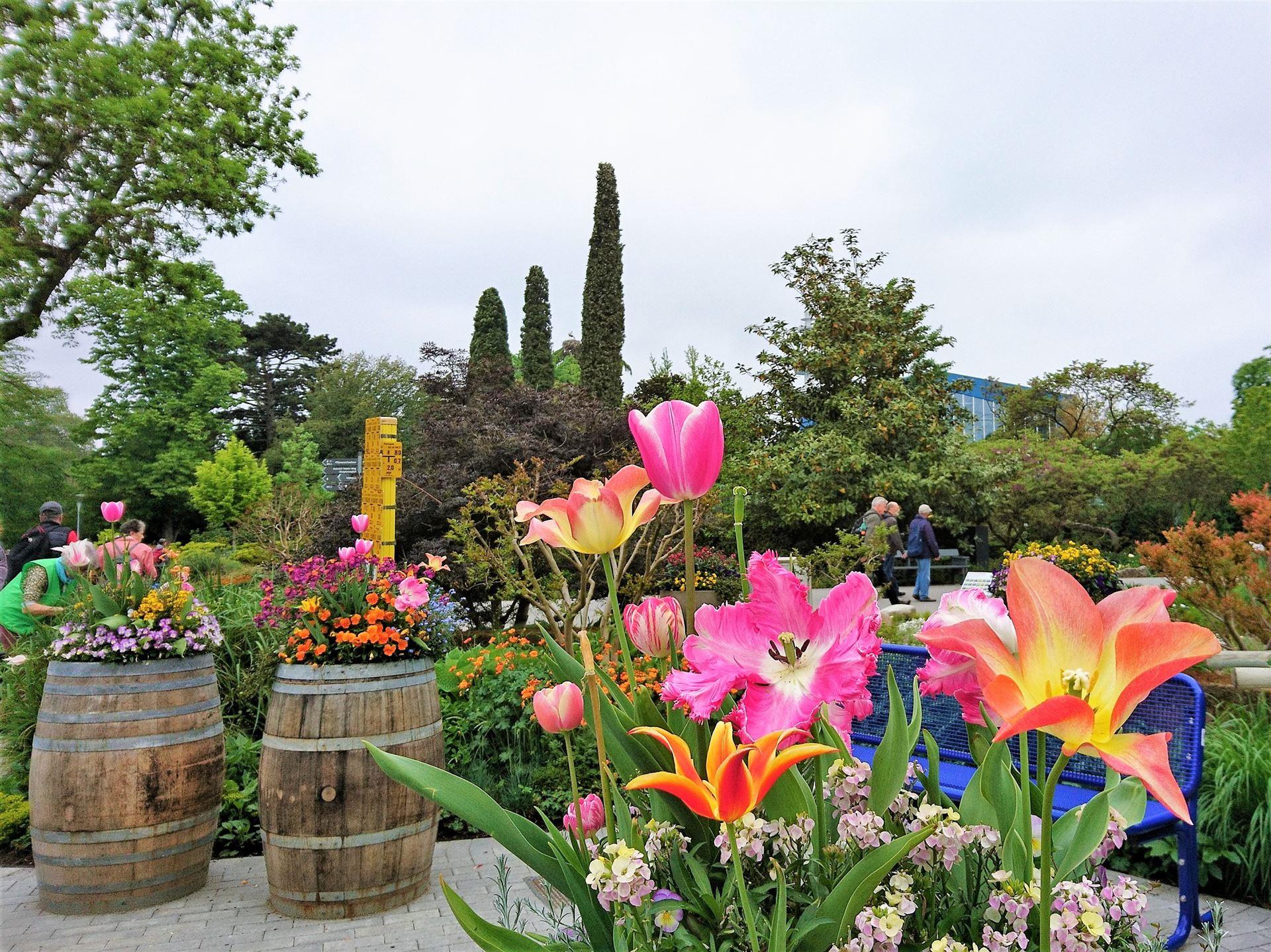 2023-07-24 Mannheim Gartenausstellung (4)