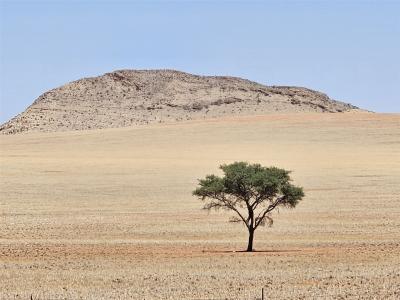 2024 Namibia (43)