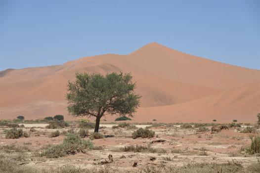 2024 Namibia (87)