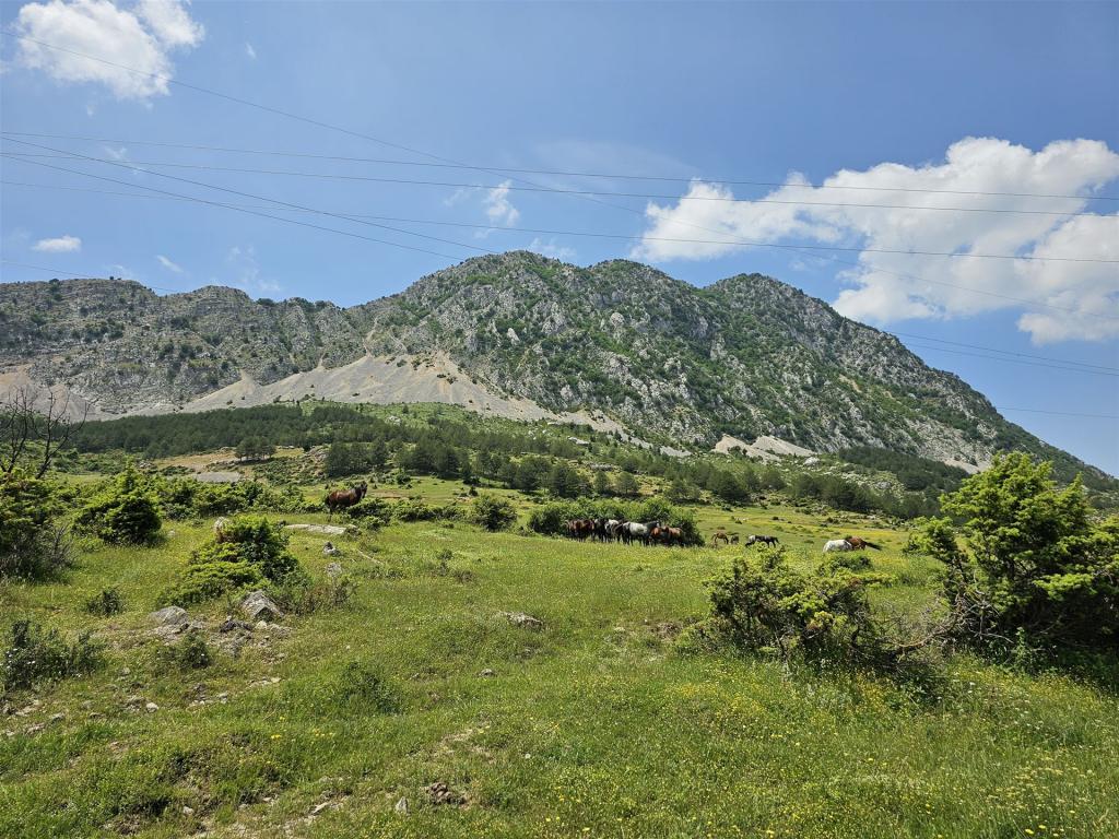 E-Bike Tour Albanien Fahrradfahren (8)